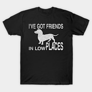 I've got friends in low places lovers dog friends T-Shirt